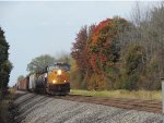 8906 passing the fall leaves 